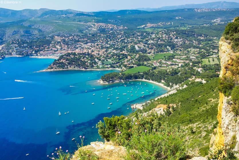 Sous Un Olivier Cassis